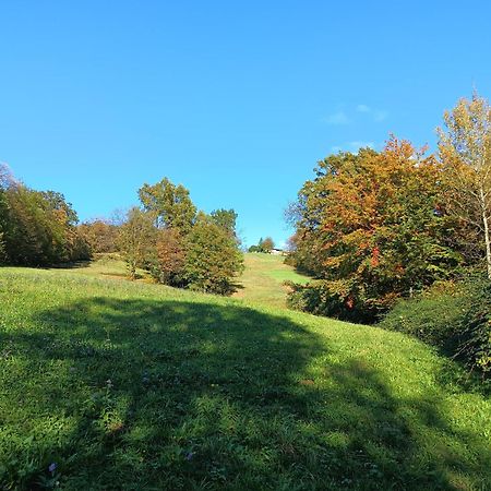 Agriturismo Fattoria Ortoalpino Trichiana Buitenkant foto