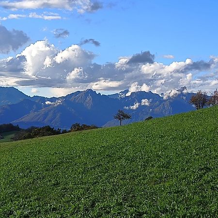 Agriturismo Fattoria Ortoalpino Trichiana Buitenkant foto