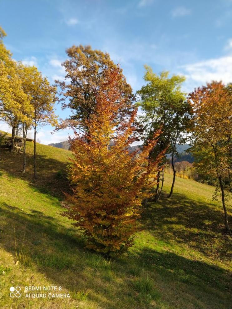 Agriturismo Fattoria Ortoalpino Trichiana Buitenkant foto
