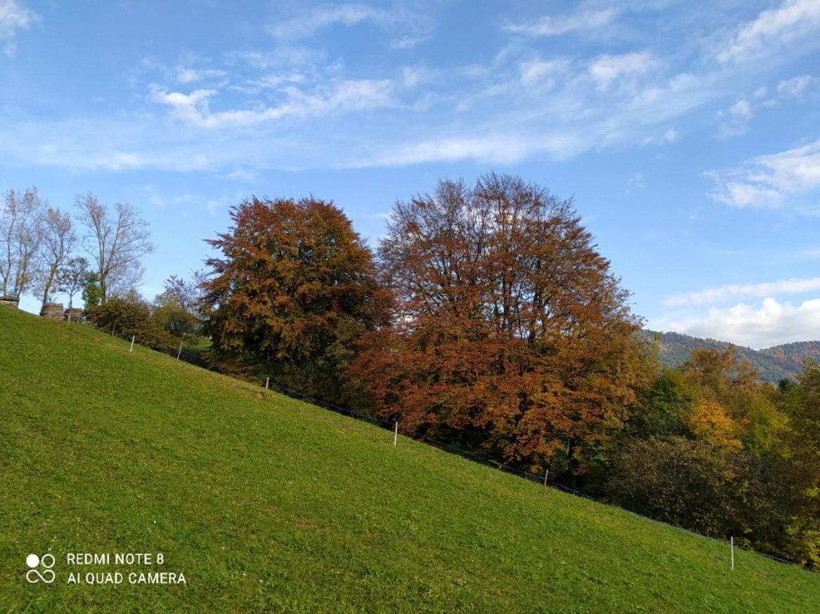 Agriturismo Fattoria Ortoalpino Trichiana Buitenkant foto