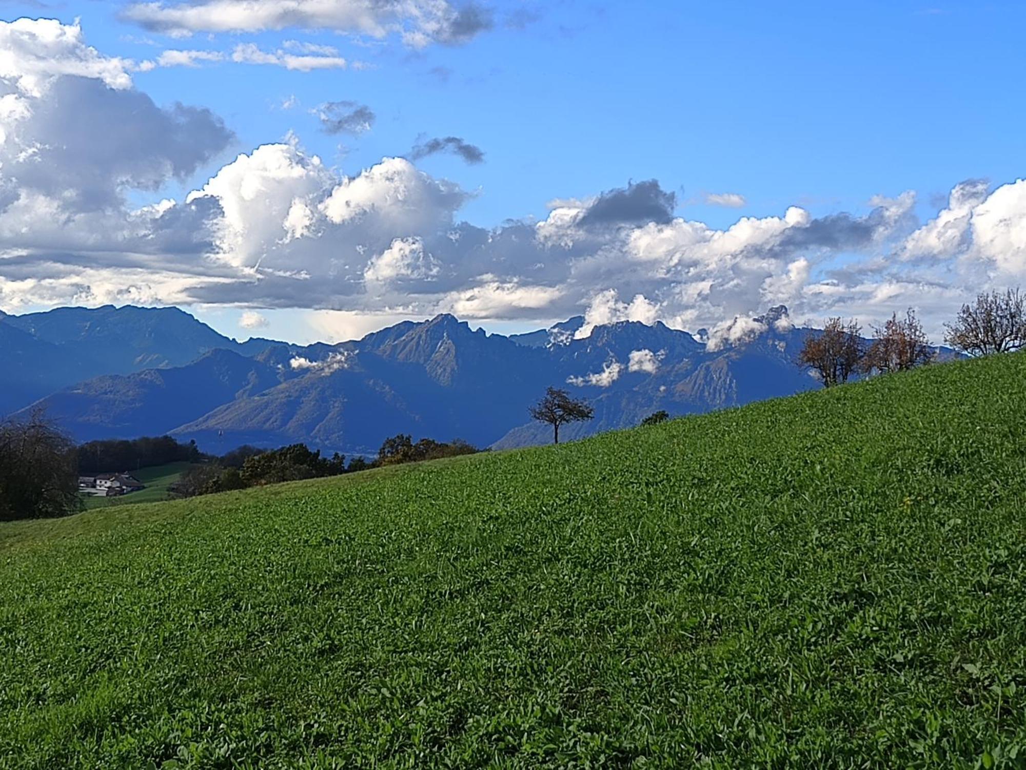 Agriturismo Fattoria Ortoalpino Trichiana Buitenkant foto