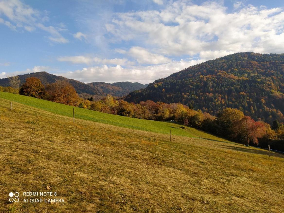 Agriturismo Fattoria Ortoalpino Trichiana Buitenkant foto