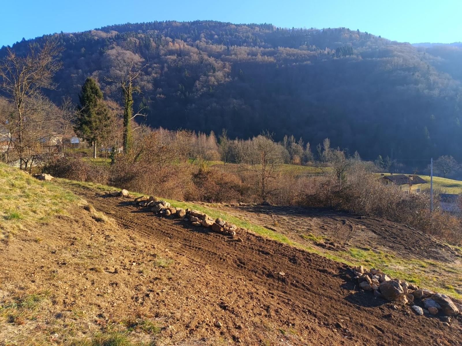 Agriturismo Fattoria Ortoalpino Trichiana Buitenkant foto