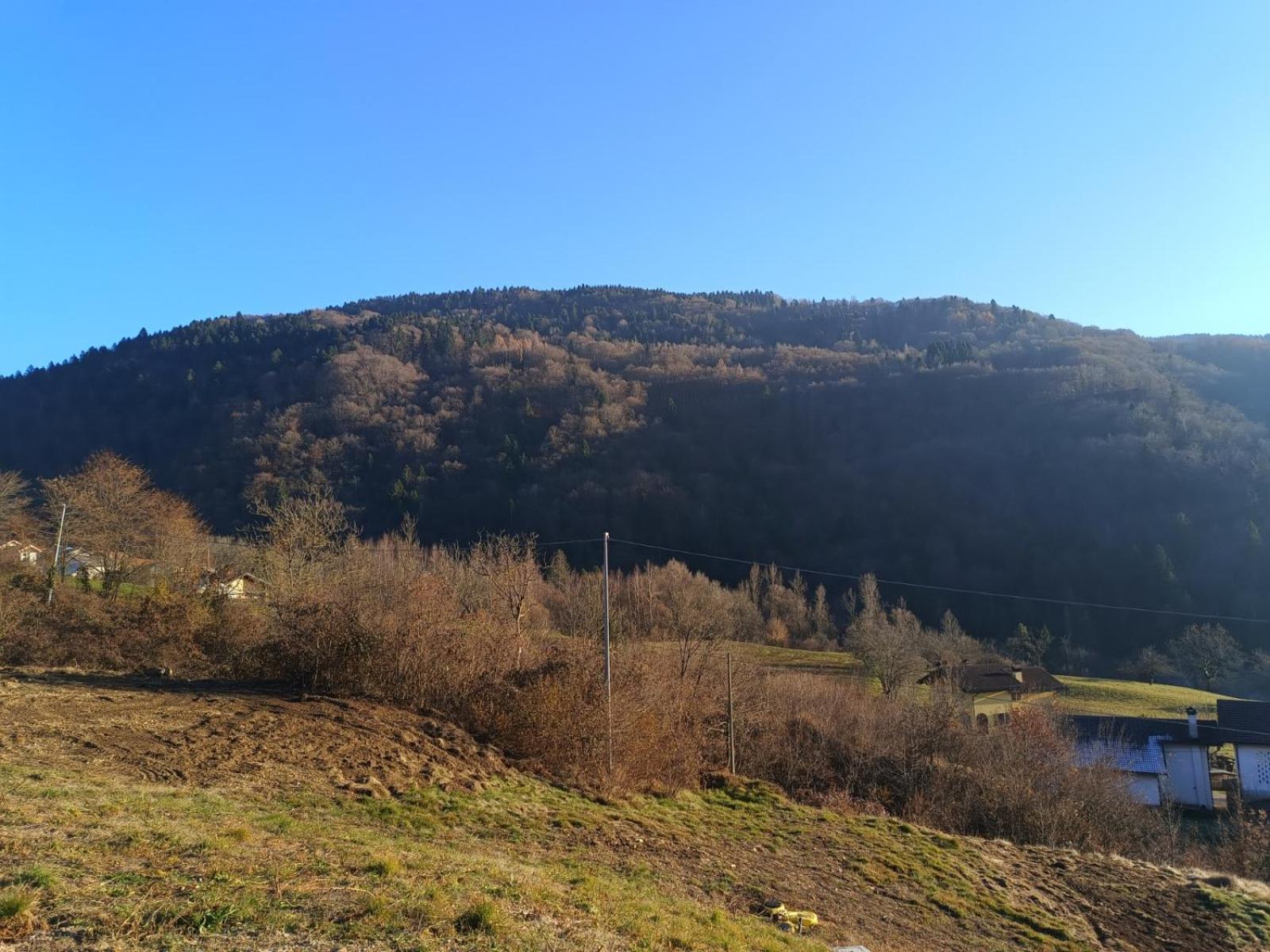 Agriturismo Fattoria Ortoalpino Trichiana Buitenkant foto
