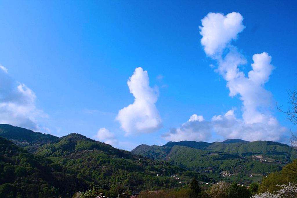 Agriturismo Fattoria Ortoalpino Trichiana Buitenkant foto