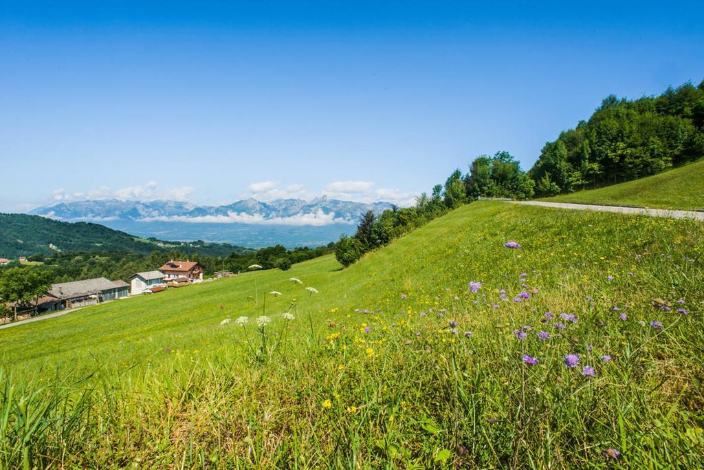 Agriturismo Fattoria Ortoalpino Trichiana Buitenkant foto