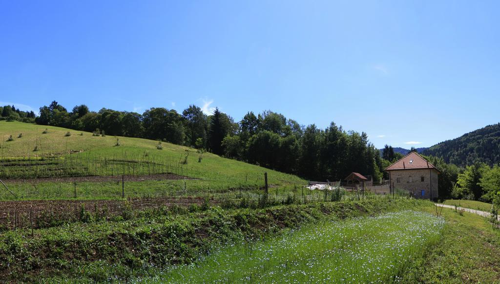 Agriturismo Fattoria Ortoalpino Trichiana Buitenkant foto